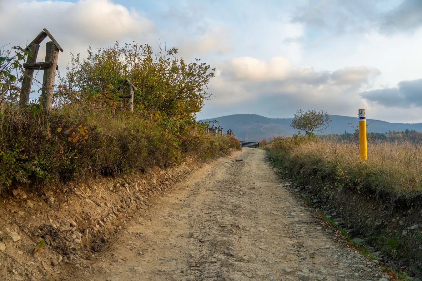 Running recovery guide — The Complete Running Recovery Guide: Recover Smarter, Run Longer